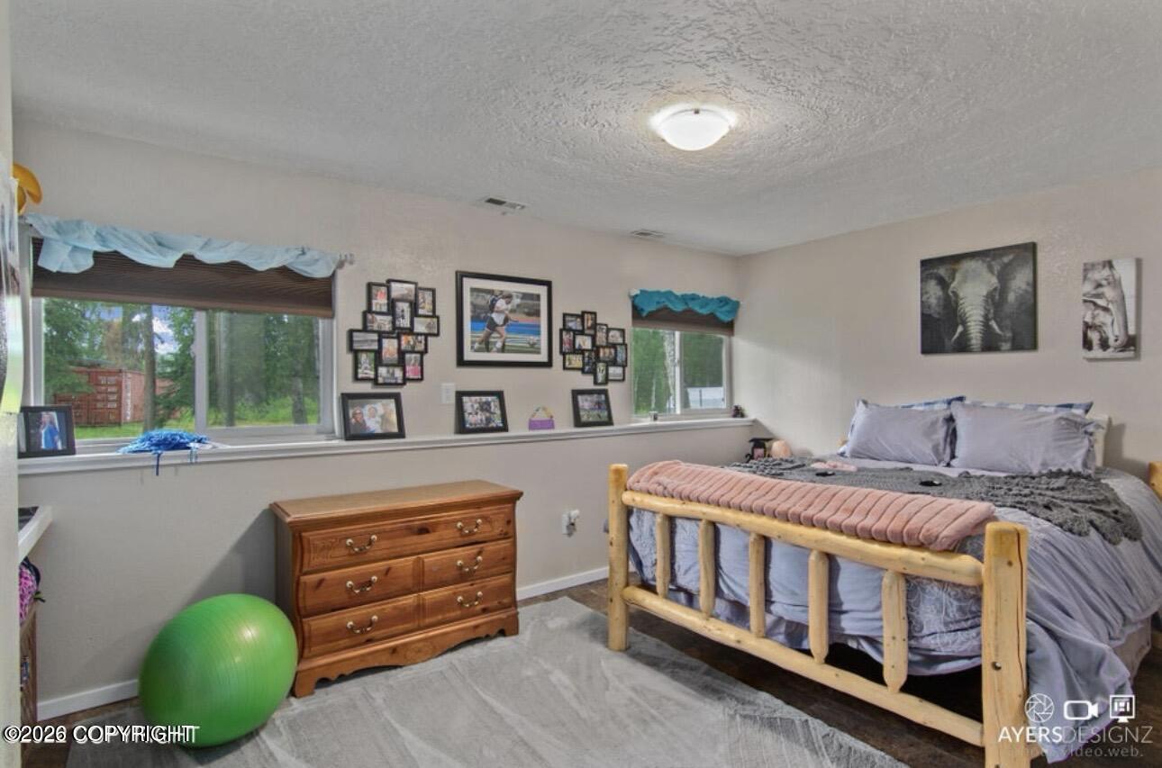 40110 Iliamna Loop Property Photo 27