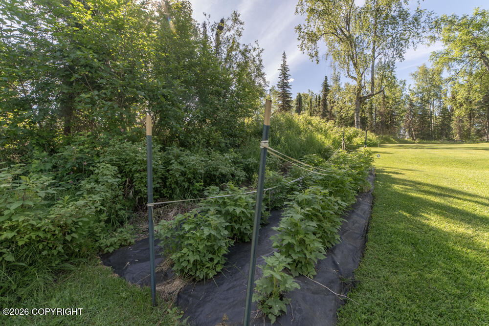 40110 Iliamna Loop Property Photo 50