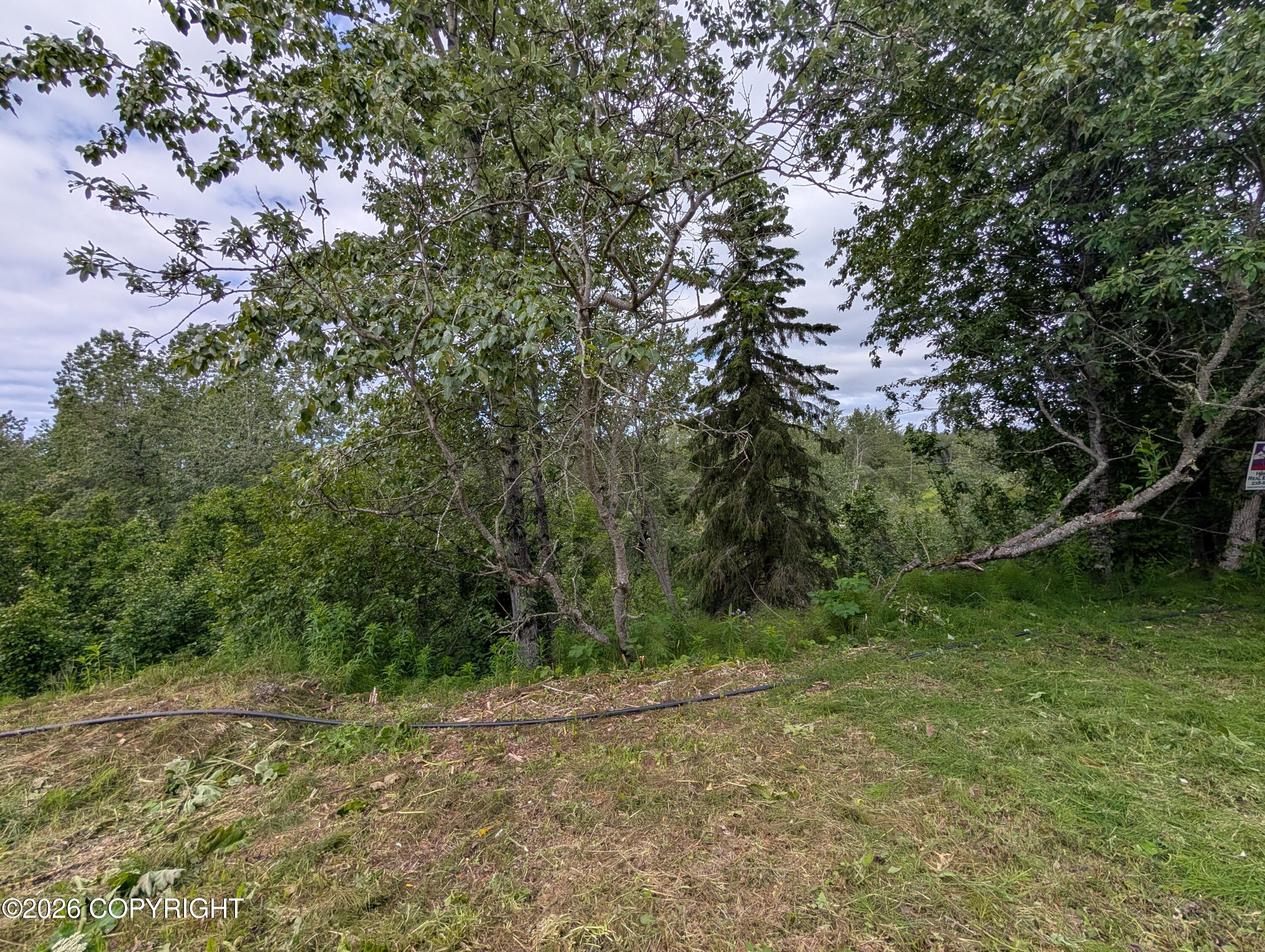 73486 Ann Court Property Photo 6
