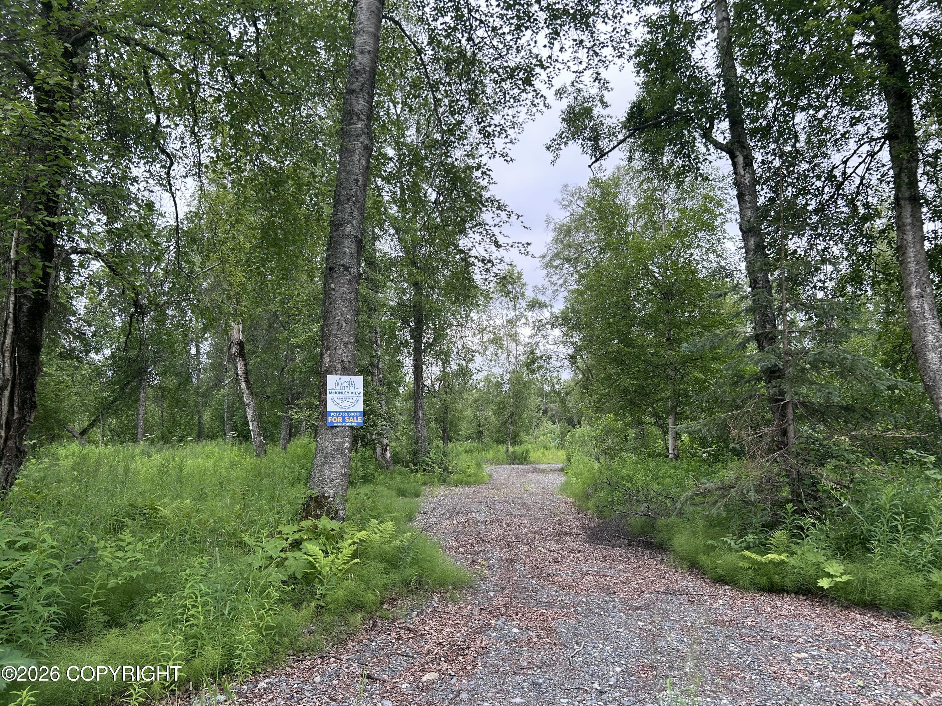 23580 S Bobcat Trail Property Photo 4