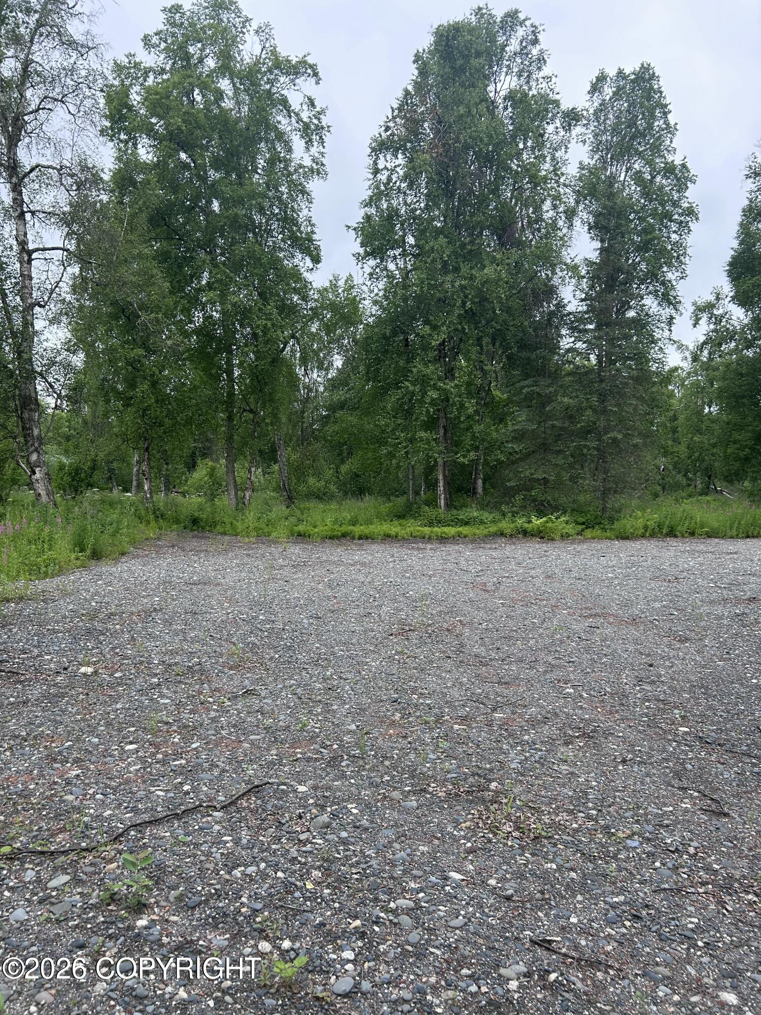 23580 S Bobcat Trail Property Photo 6