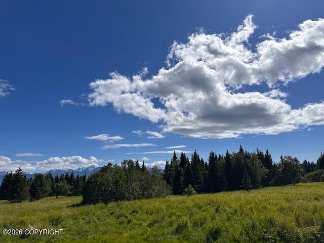 40775 Hancock Drive Property Photo 5