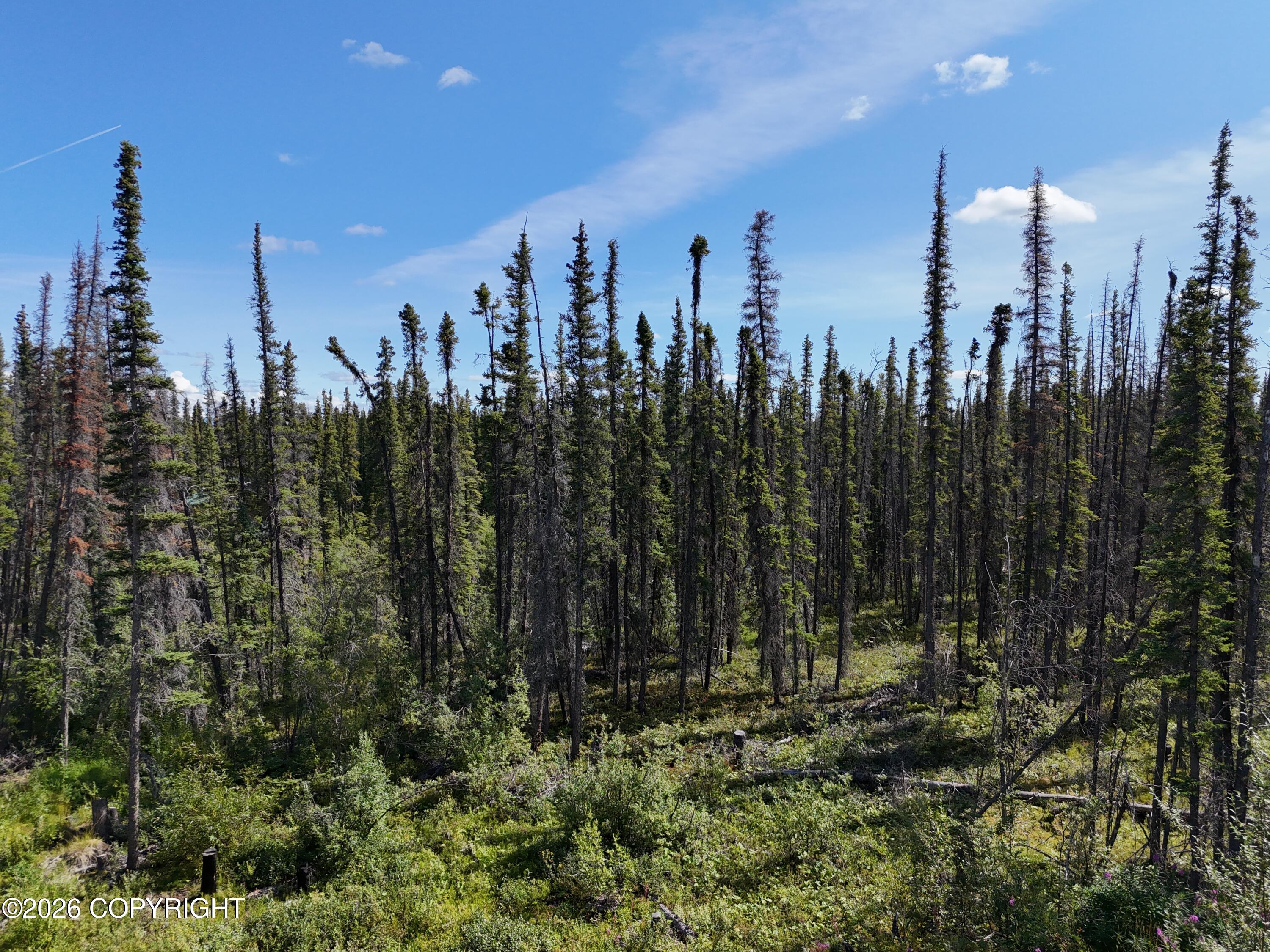 Nhn Pipeline Road Property Photo 25