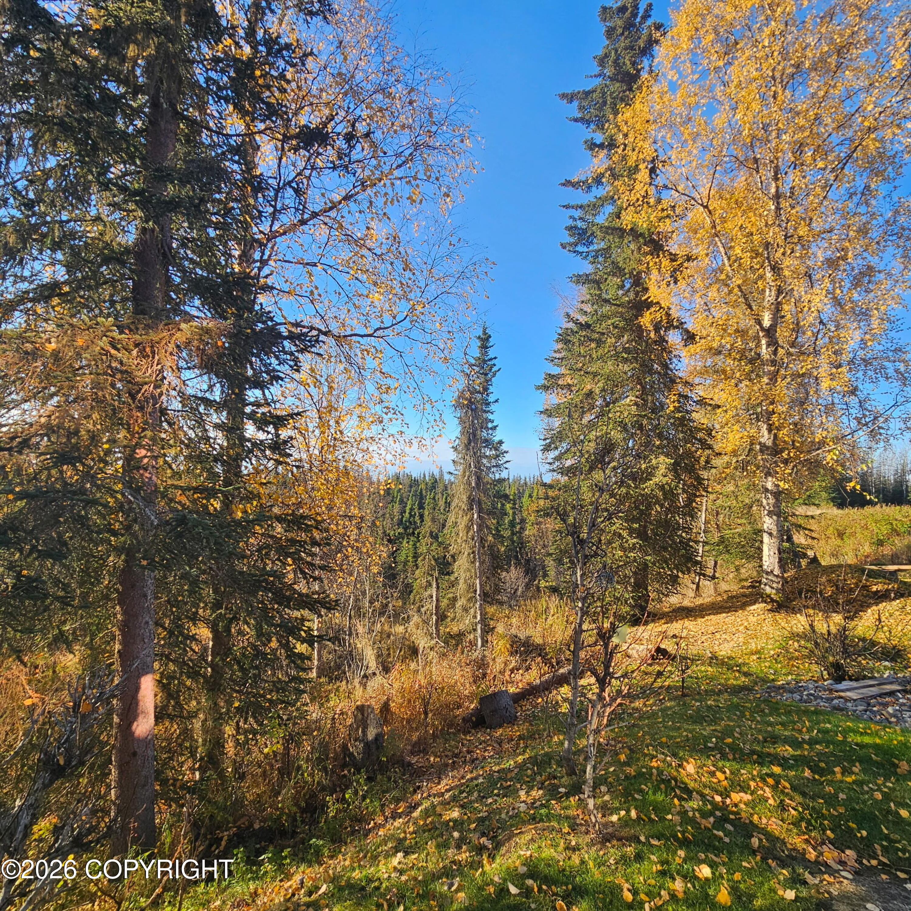 3810 Wildrose Avenue Property Photo 13