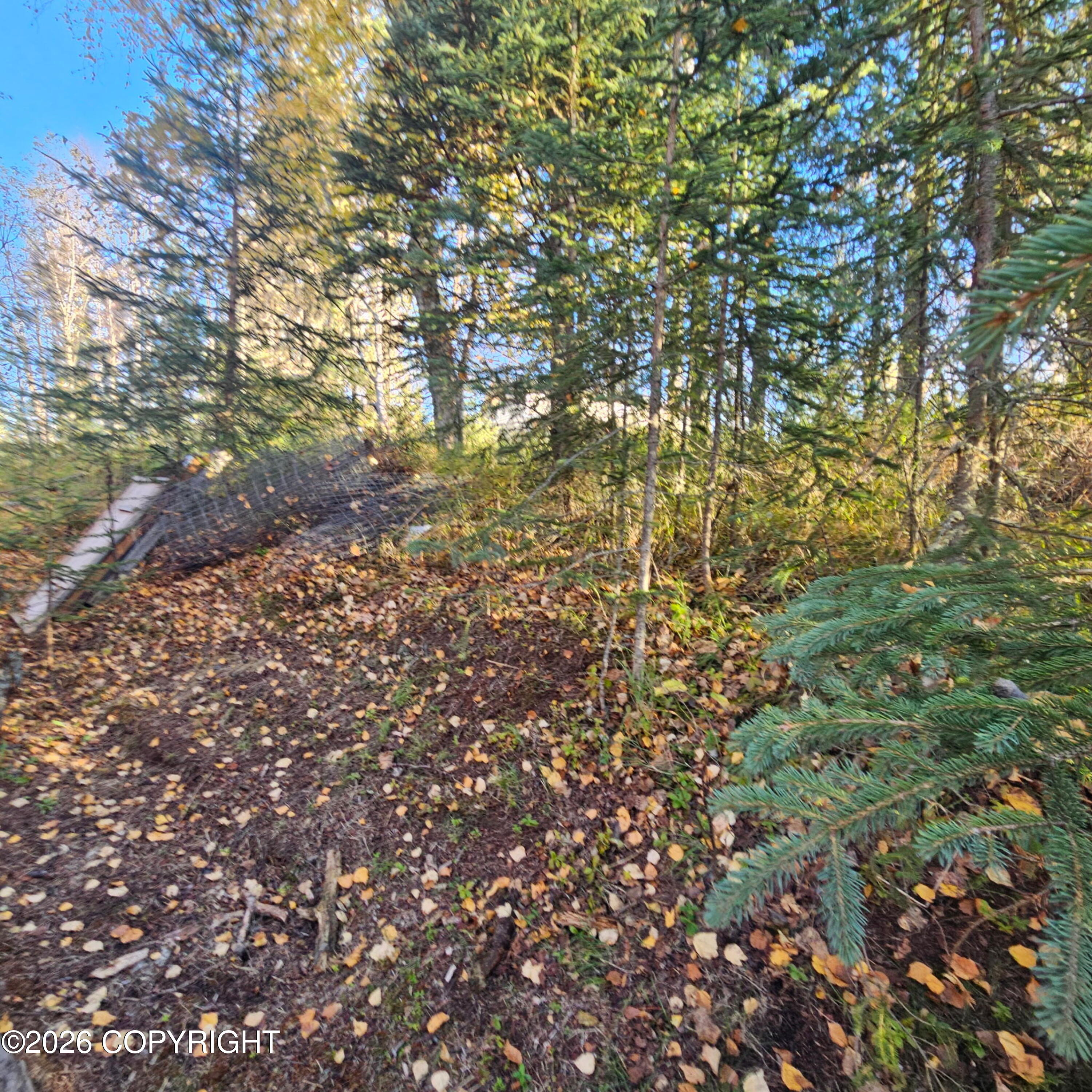 3810 Wildrose Avenue Property Photo 17
