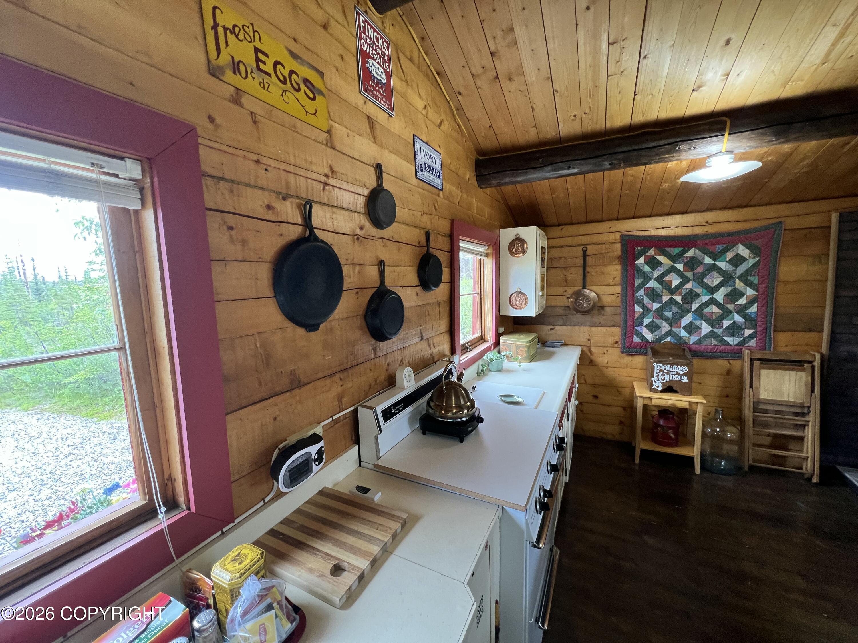 Tr H Denali Highway Property Photo 9