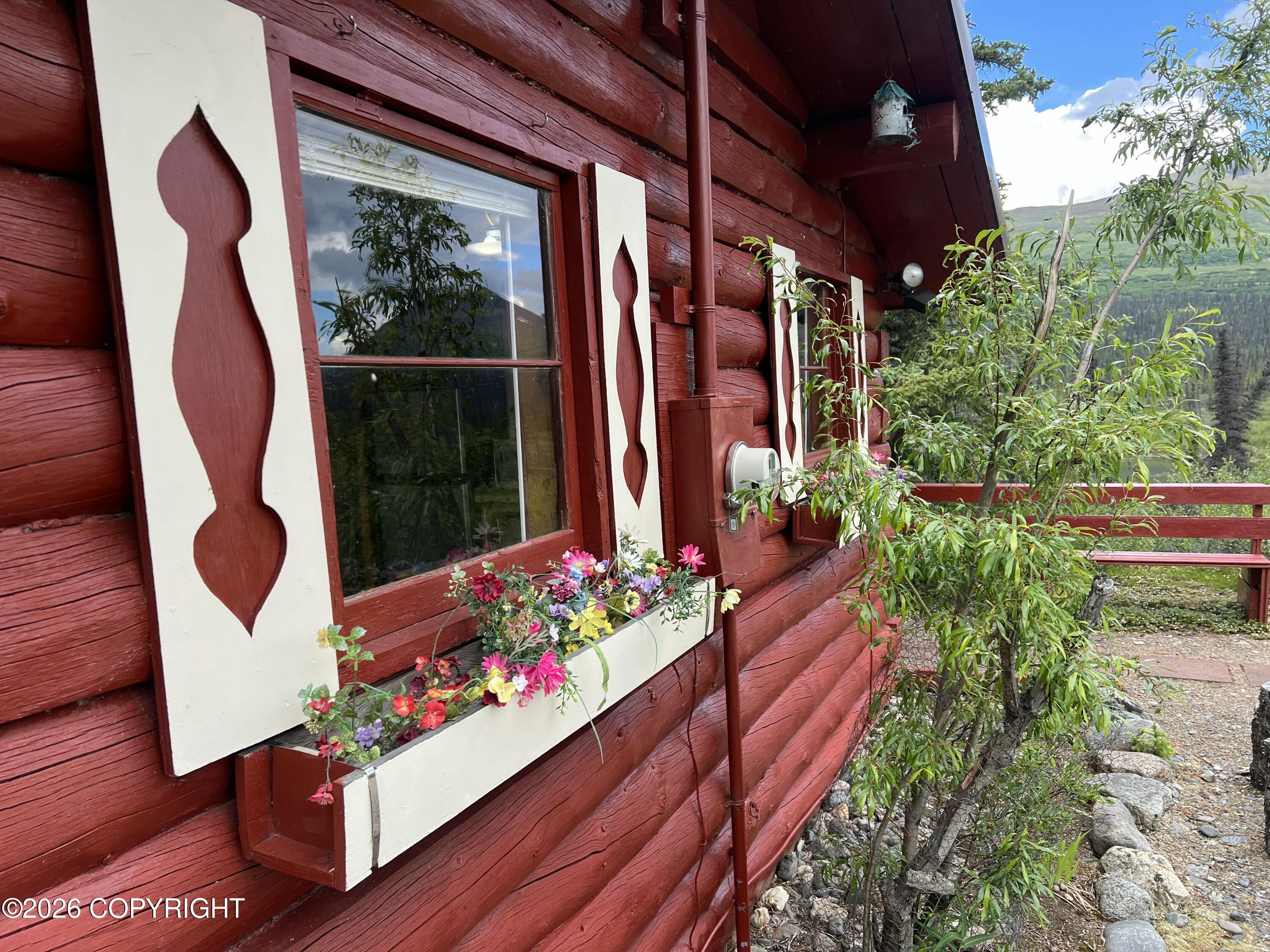 Tr H Denali Highway Property Photo 16