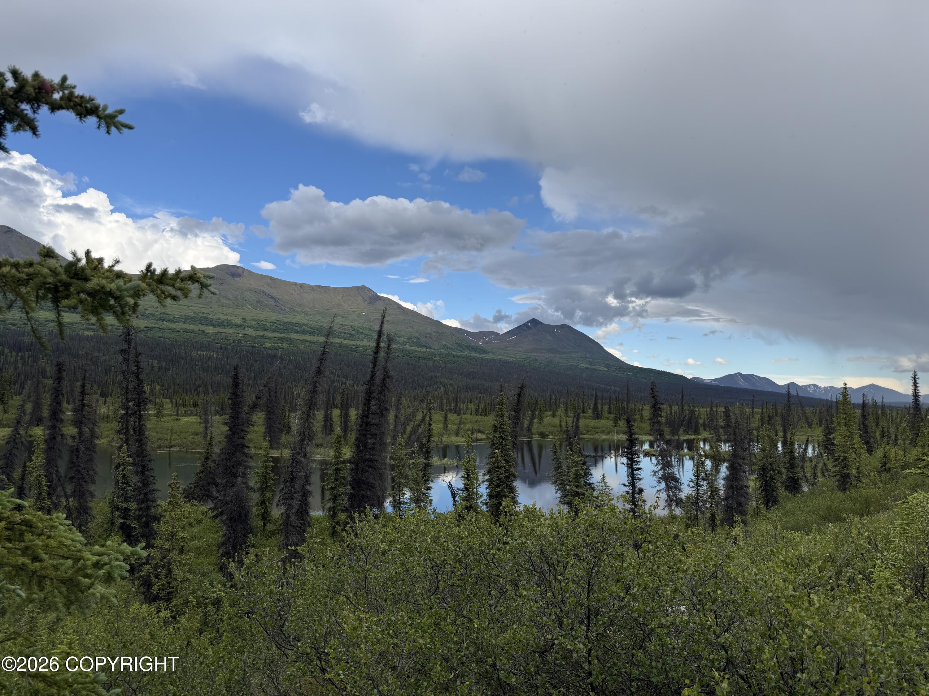 Tr H Denali Highway Property Photo 26