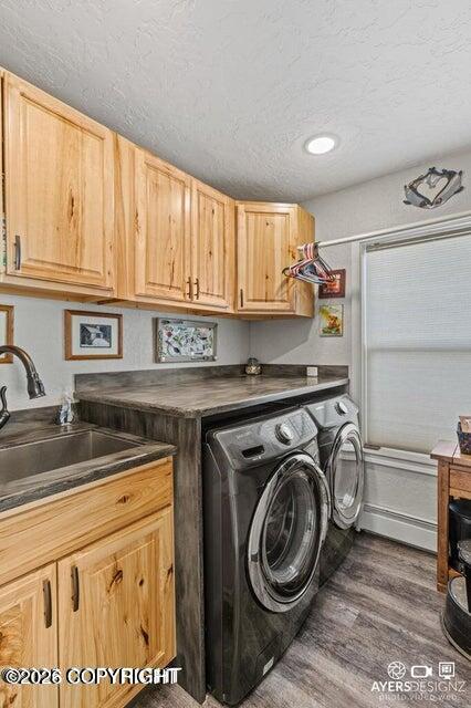 29090 Mickeys Loop Property Photo 22