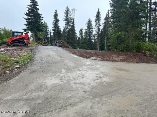 36991 Old Sterling Highway Property Photo 4