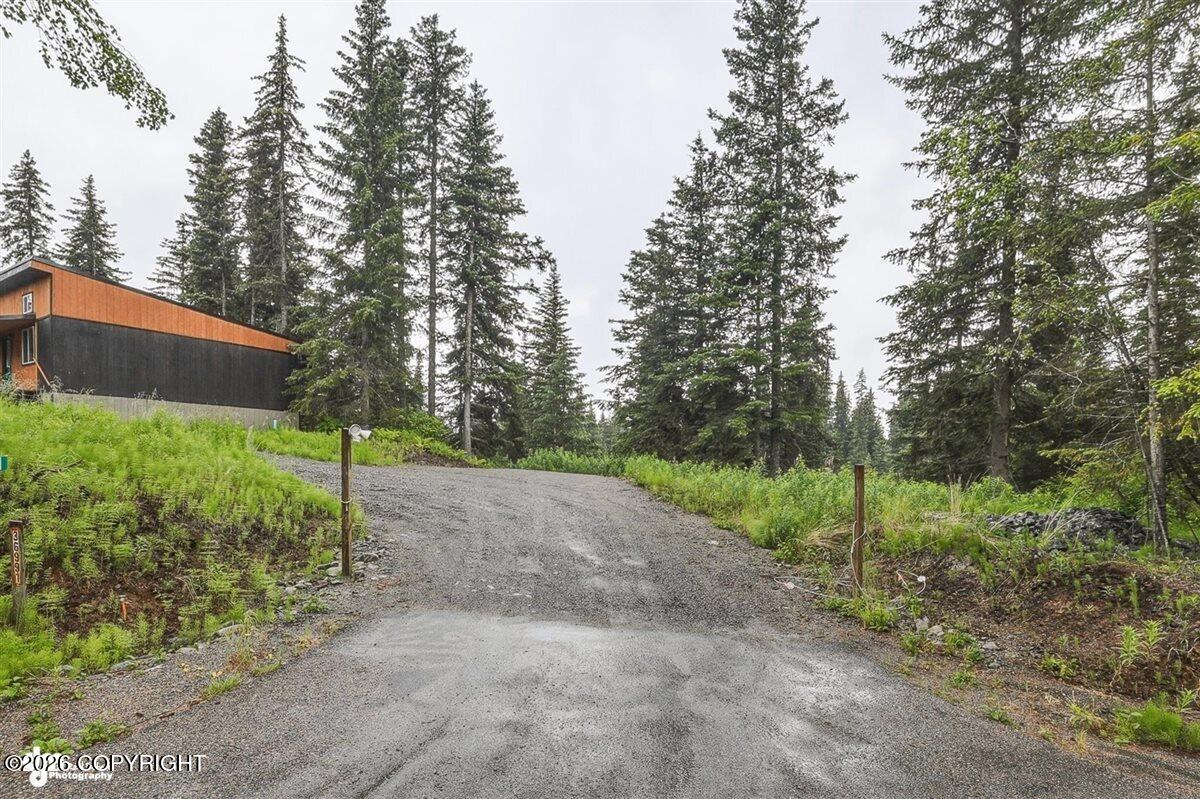 36991 Old Sterling Highway Property Photo 35