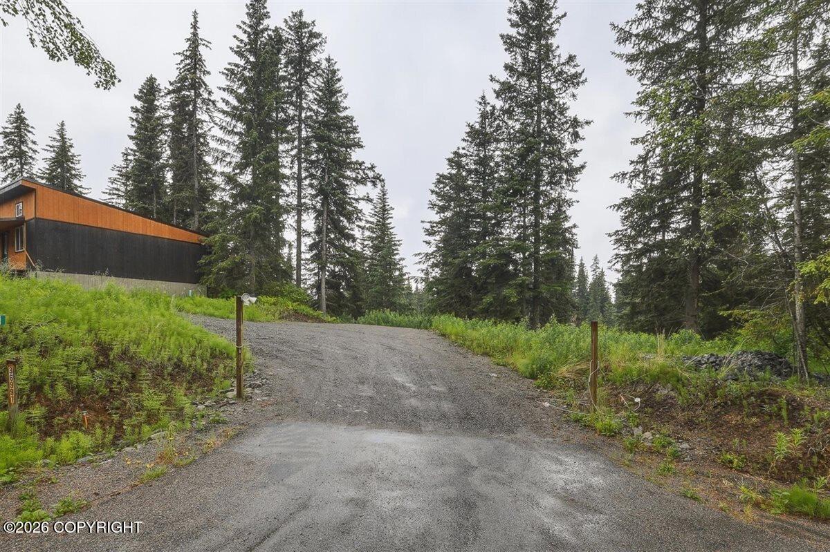 36991 Old Sterling Highway Property Photo 74