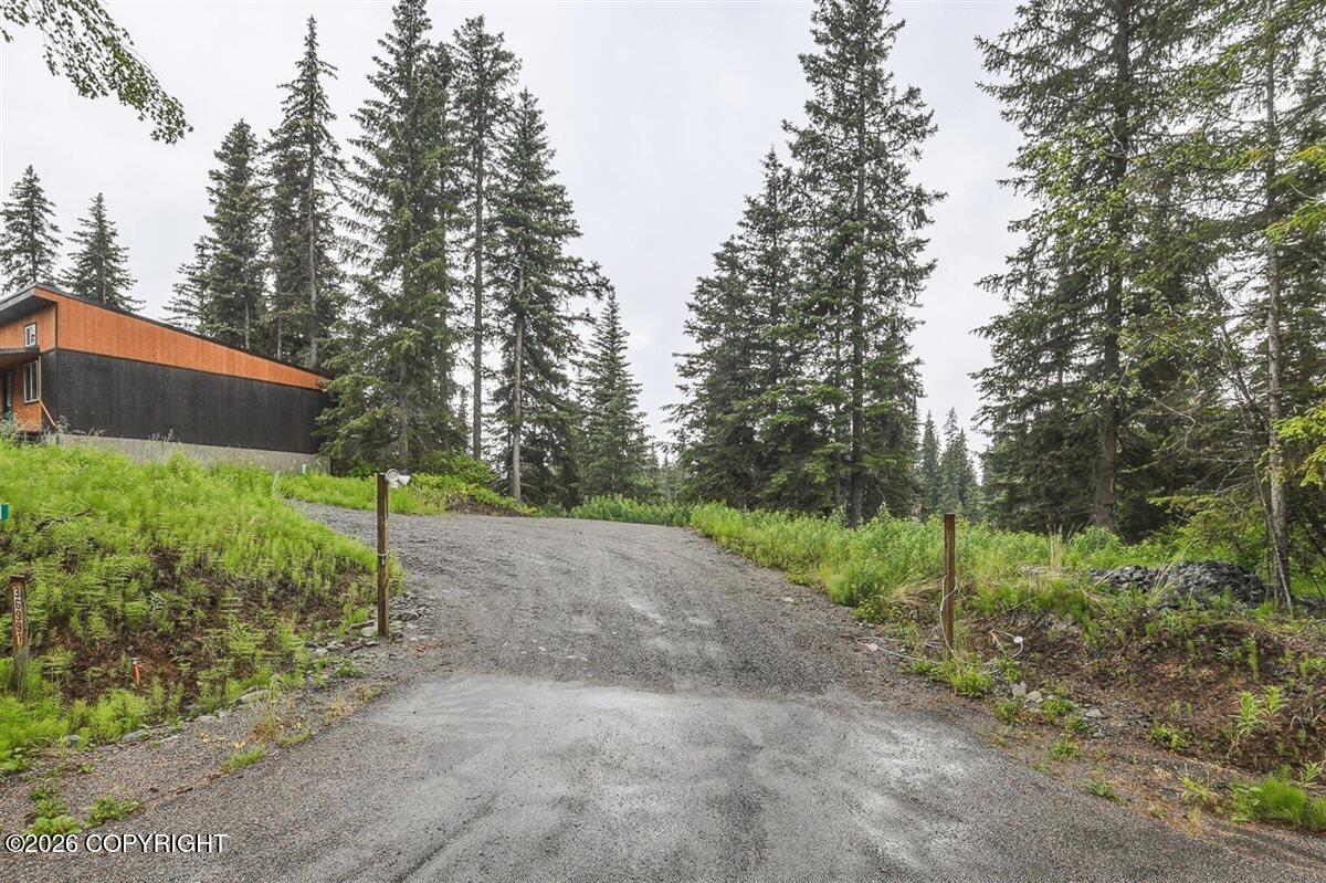36991 Old Sterling Highway Property Photo 84