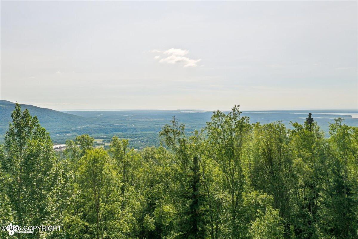 11330 Steeple Drive Property Photo 66