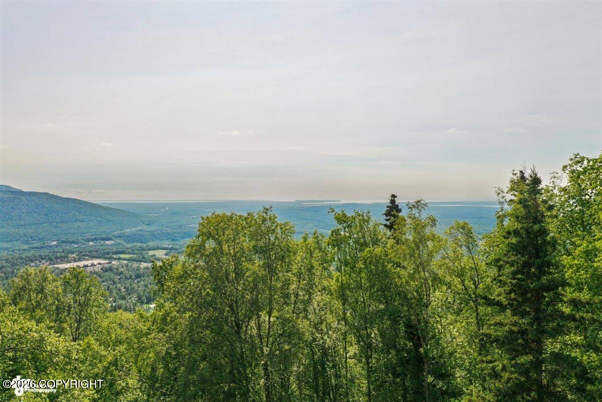 11330 Steeple Drive Property Photo 67