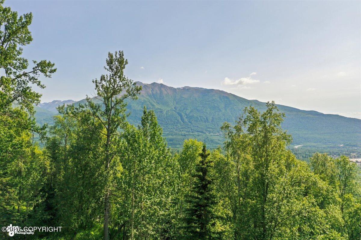 11330 Steeple Drive Property Photo 68