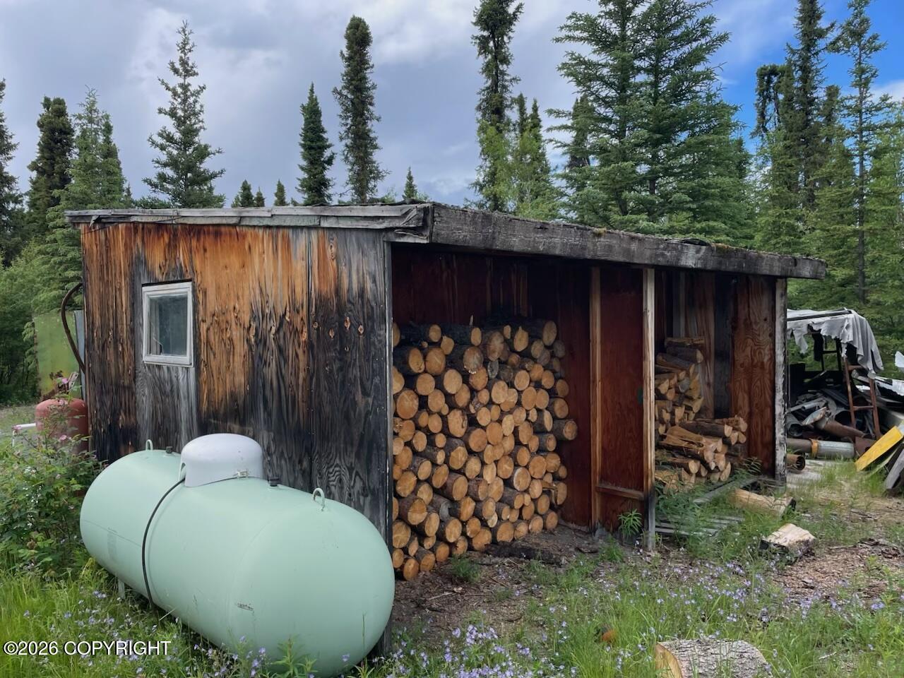Mile 7 Nabesna Road Property Photo 11