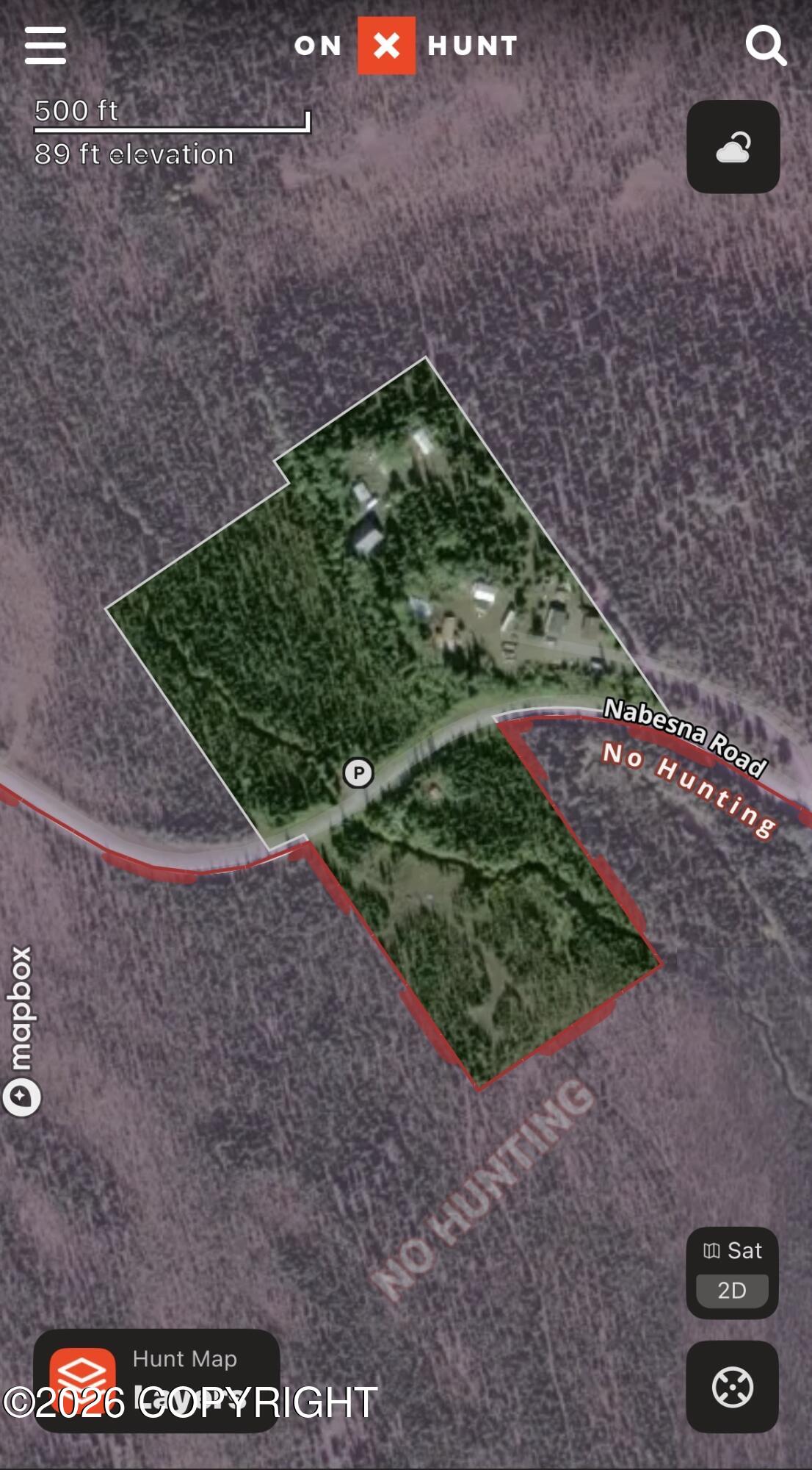Mile 7 Nabesna Road Property Photo 21