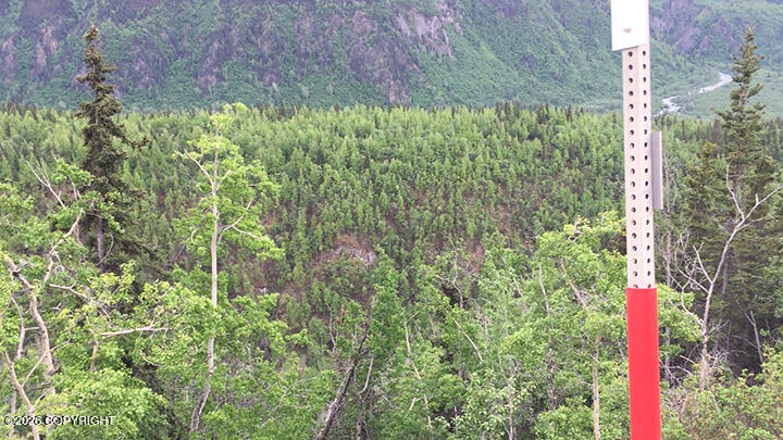 51900 W Glenn Highway Property Photo 3