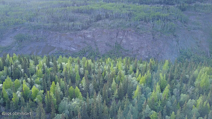 51900 W Glenn Highway Property Photo 6