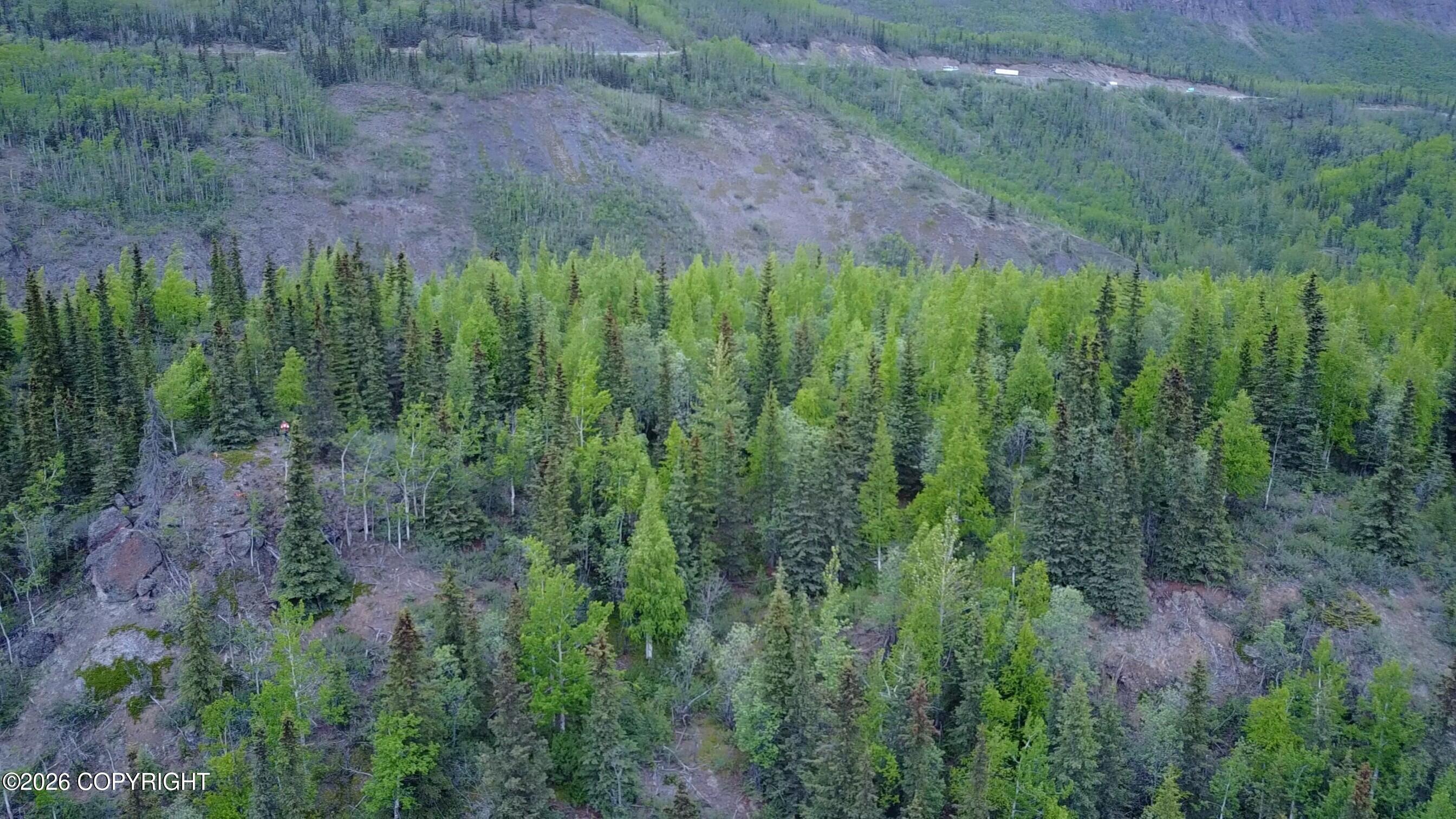 51900 W Glenn Highway Property Photo 13