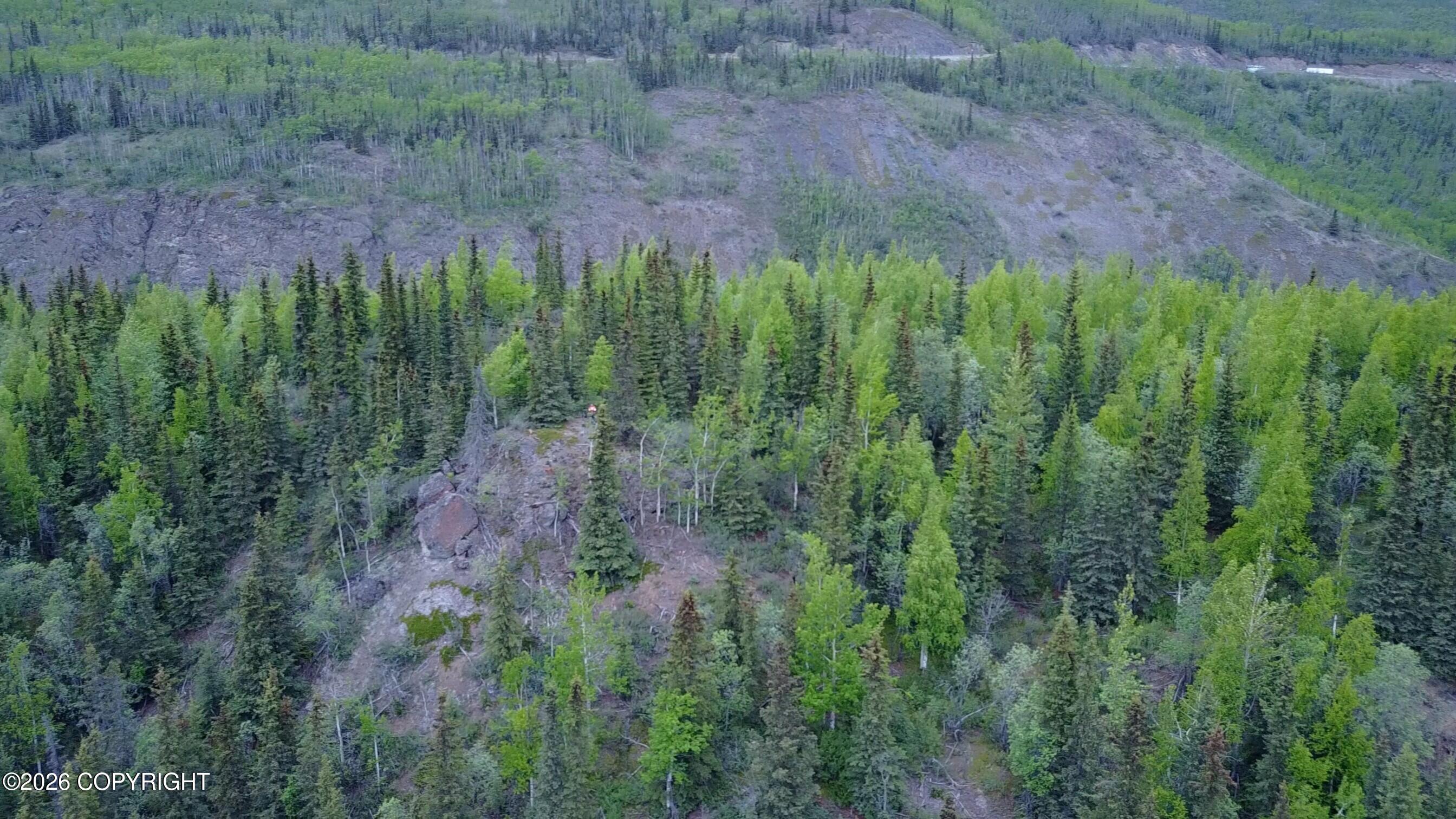 51900 W Glenn Highway Property Photo 14