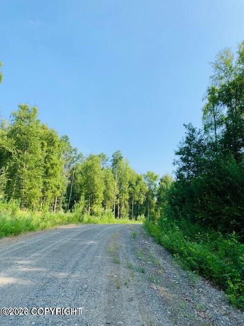 L2 B3 E Mount Snowshoe Drive Property Photo 11