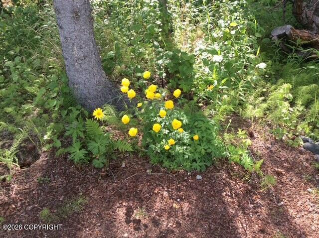 4005 N Fireweed Fields Drive Property Photo 16