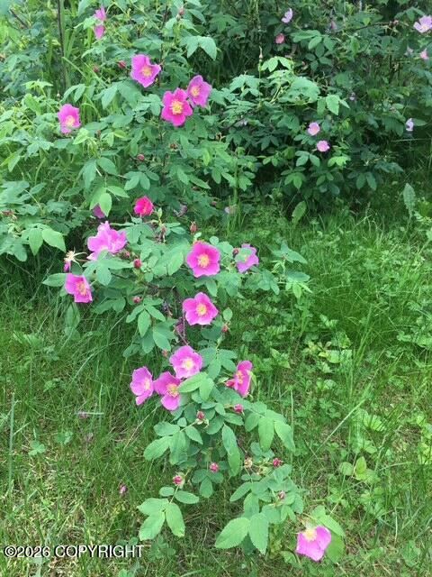 4005 N Fireweed Fields Drive Property Photo 17