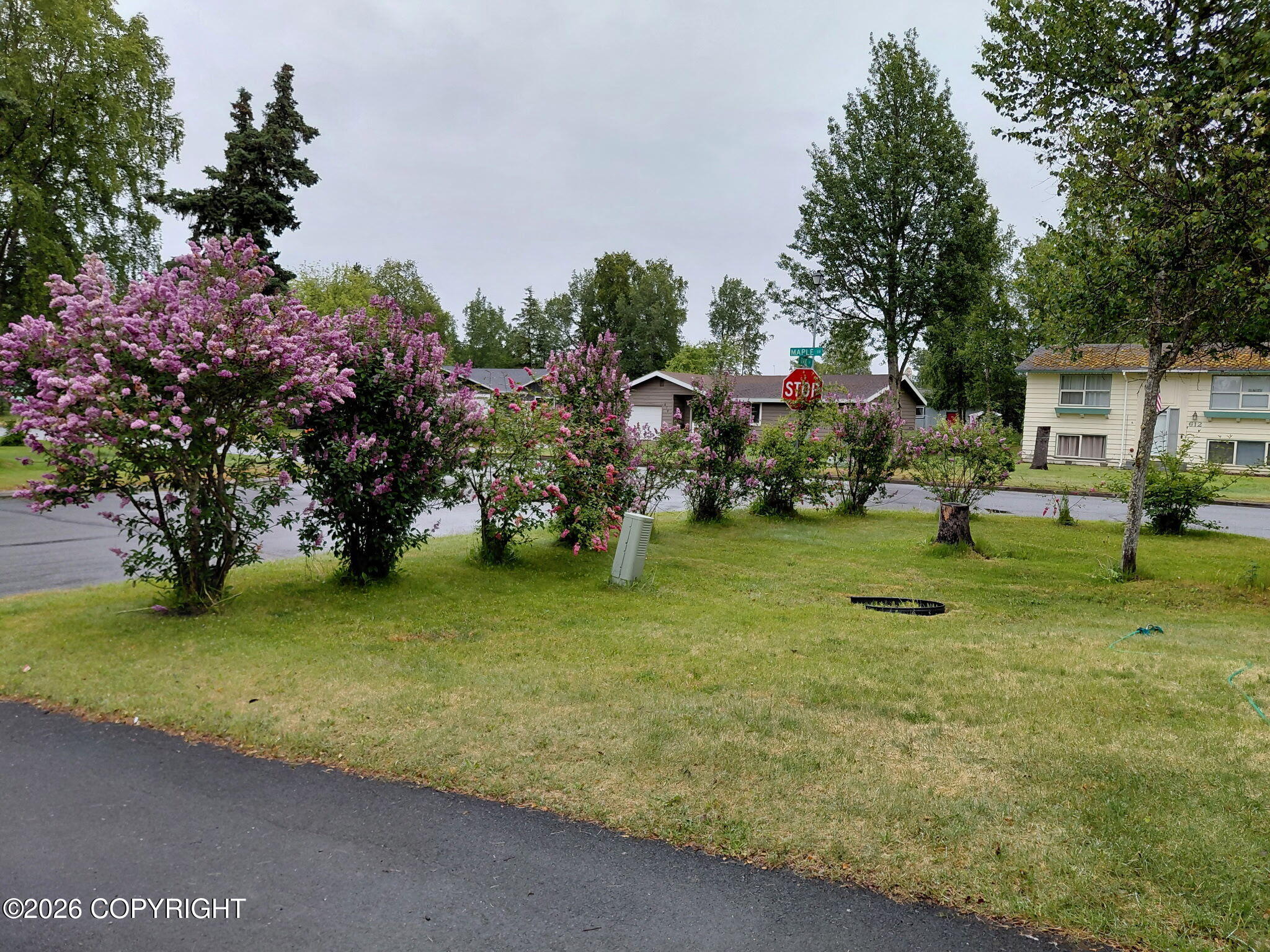1101 Oak Avenue Property Photo 3