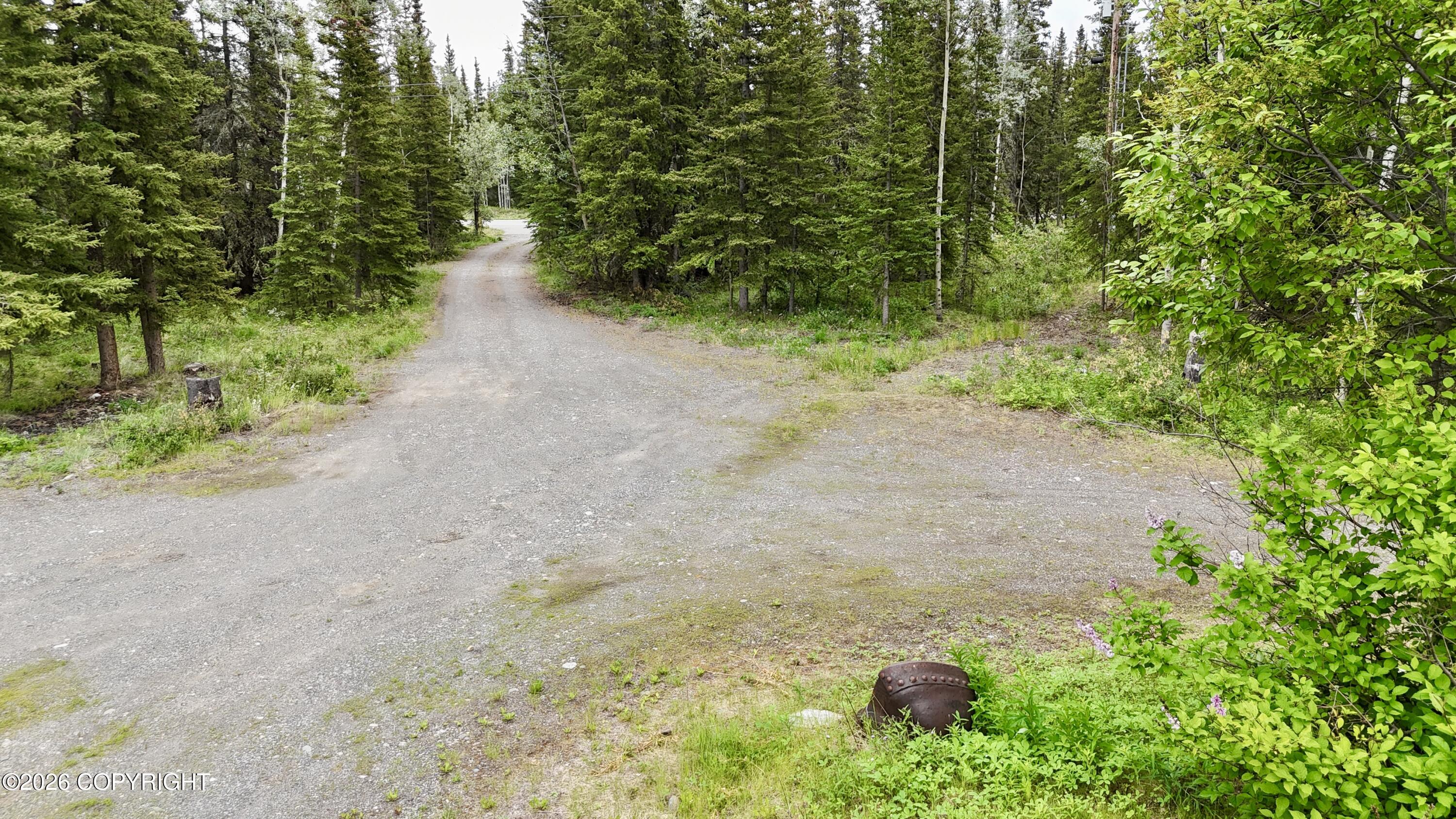 122.5 Tok Cutoff Property Photo 42