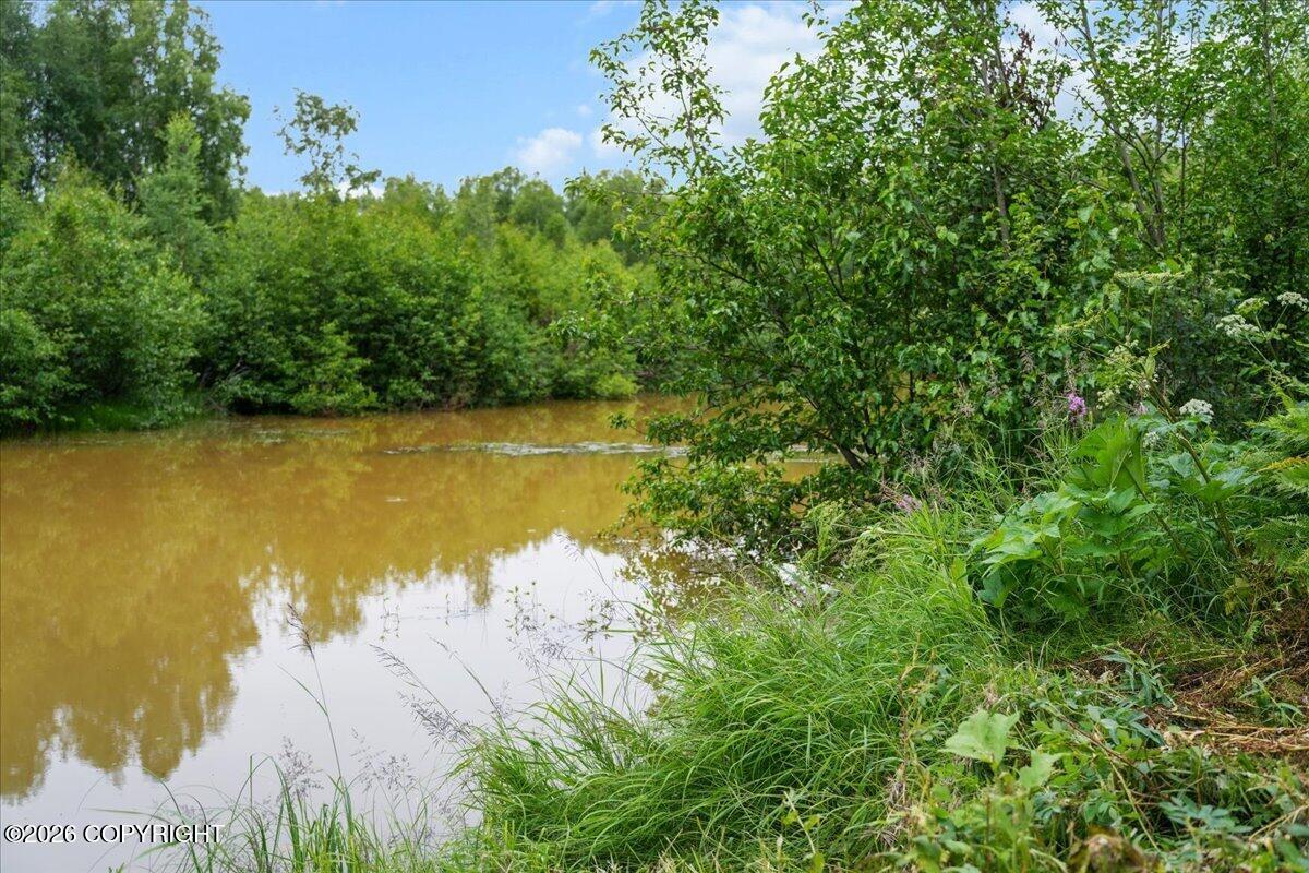 49388 S Muir Road Property Photo 54