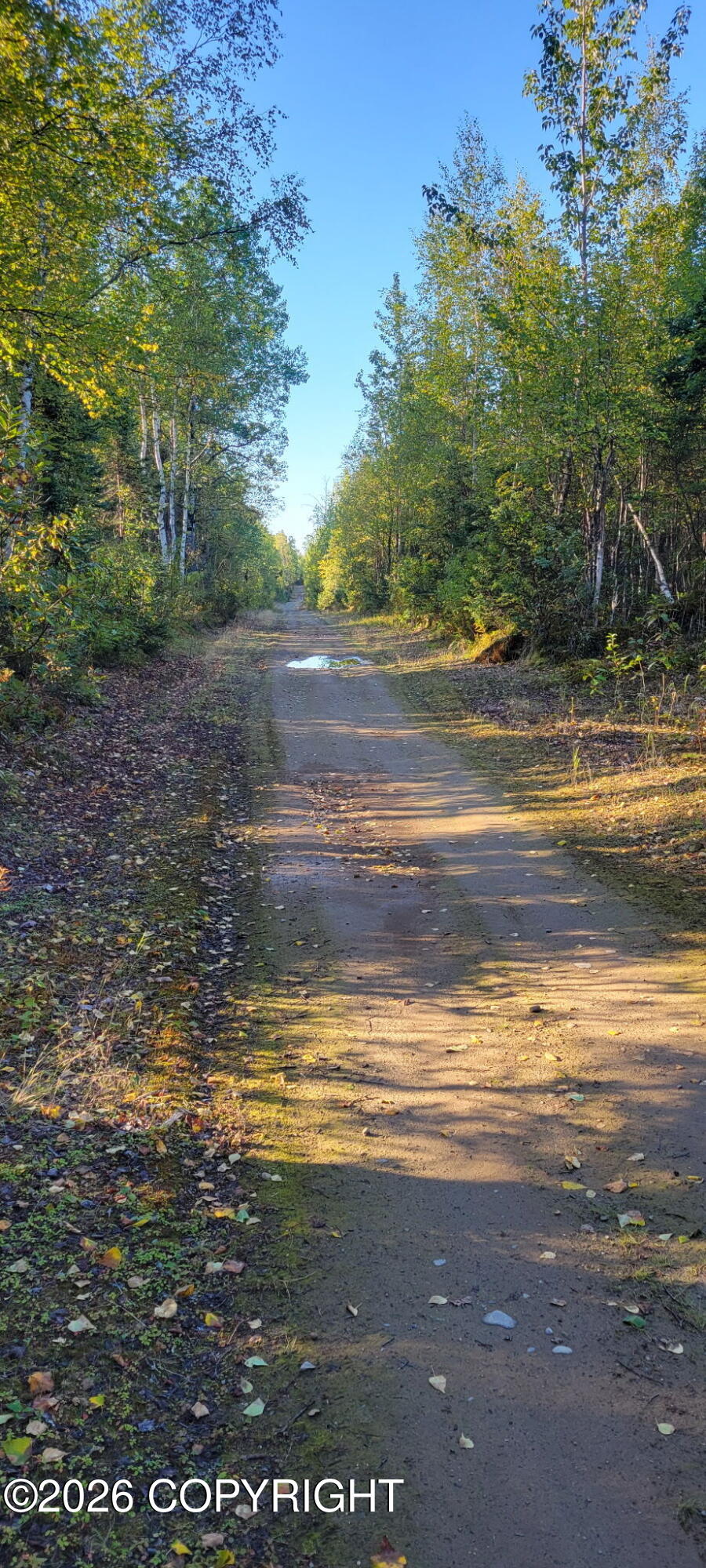 L C6 S Sealaska Road Property Photo 20