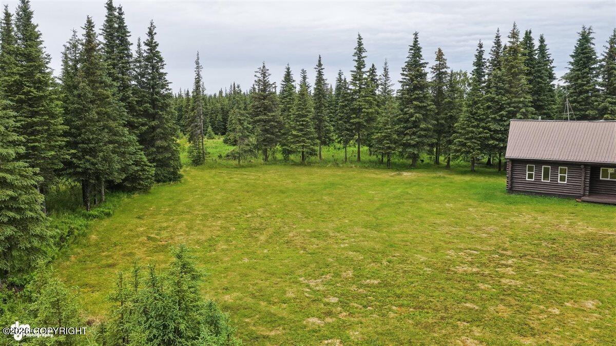 31074 Hannah Rene Road Property Photo 44