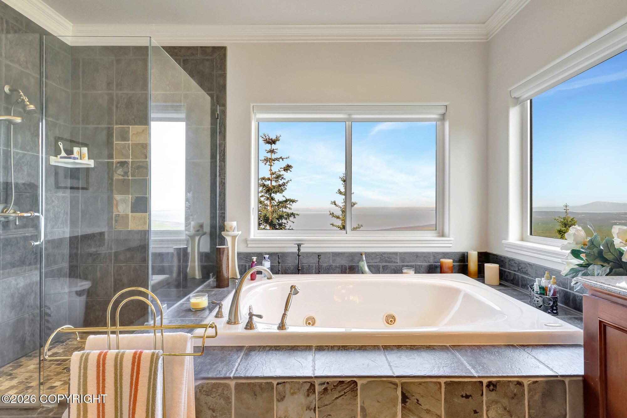 6236 Prominence Pointe Drive Property Photo 47