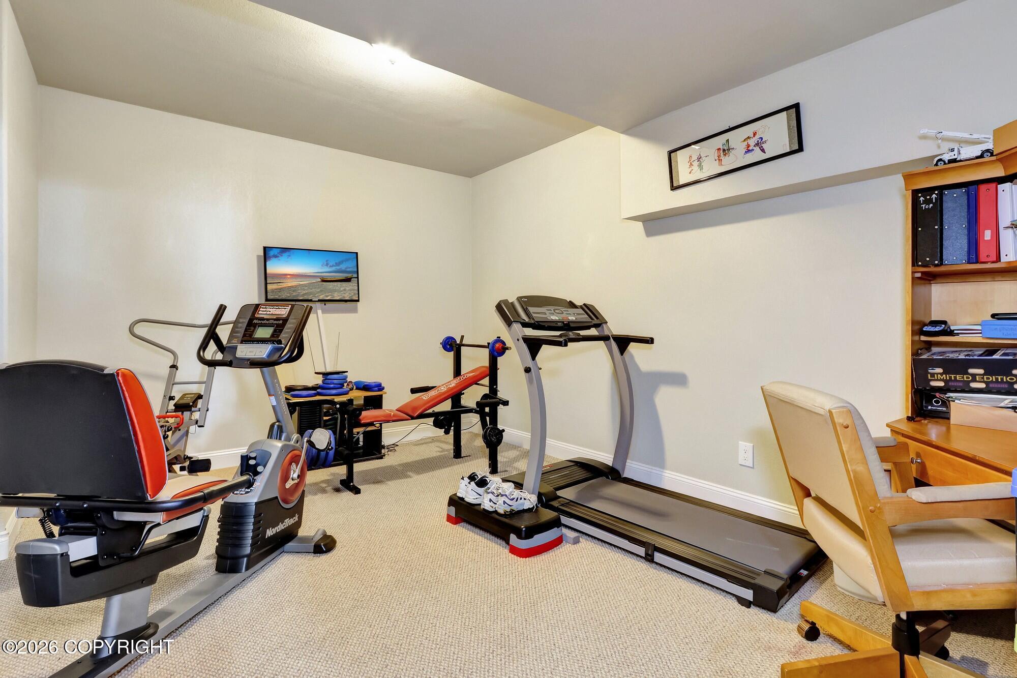 6236 Prominence Pointe Drive Property Photo 64