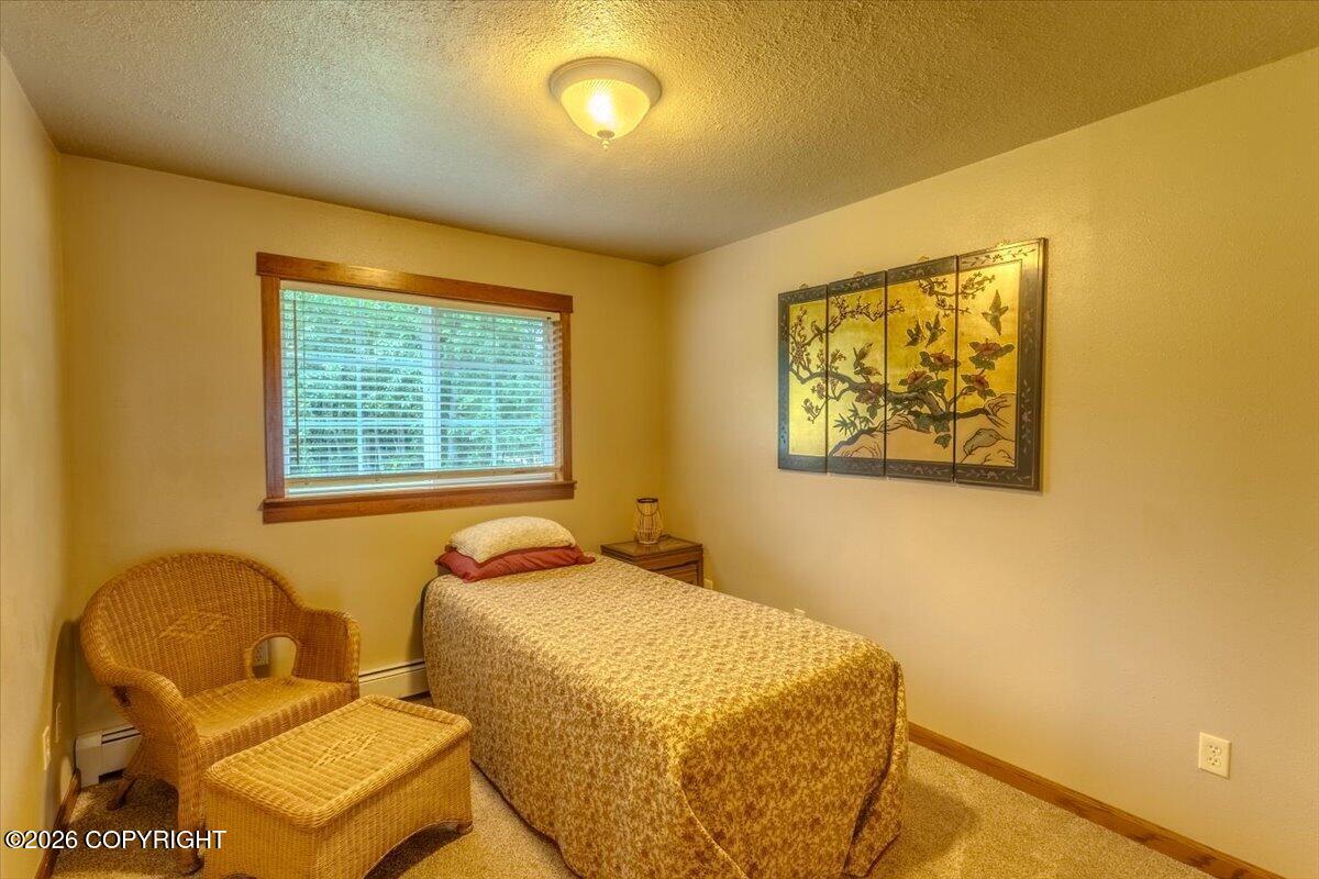 11244 Fireball Street Property Photo 29