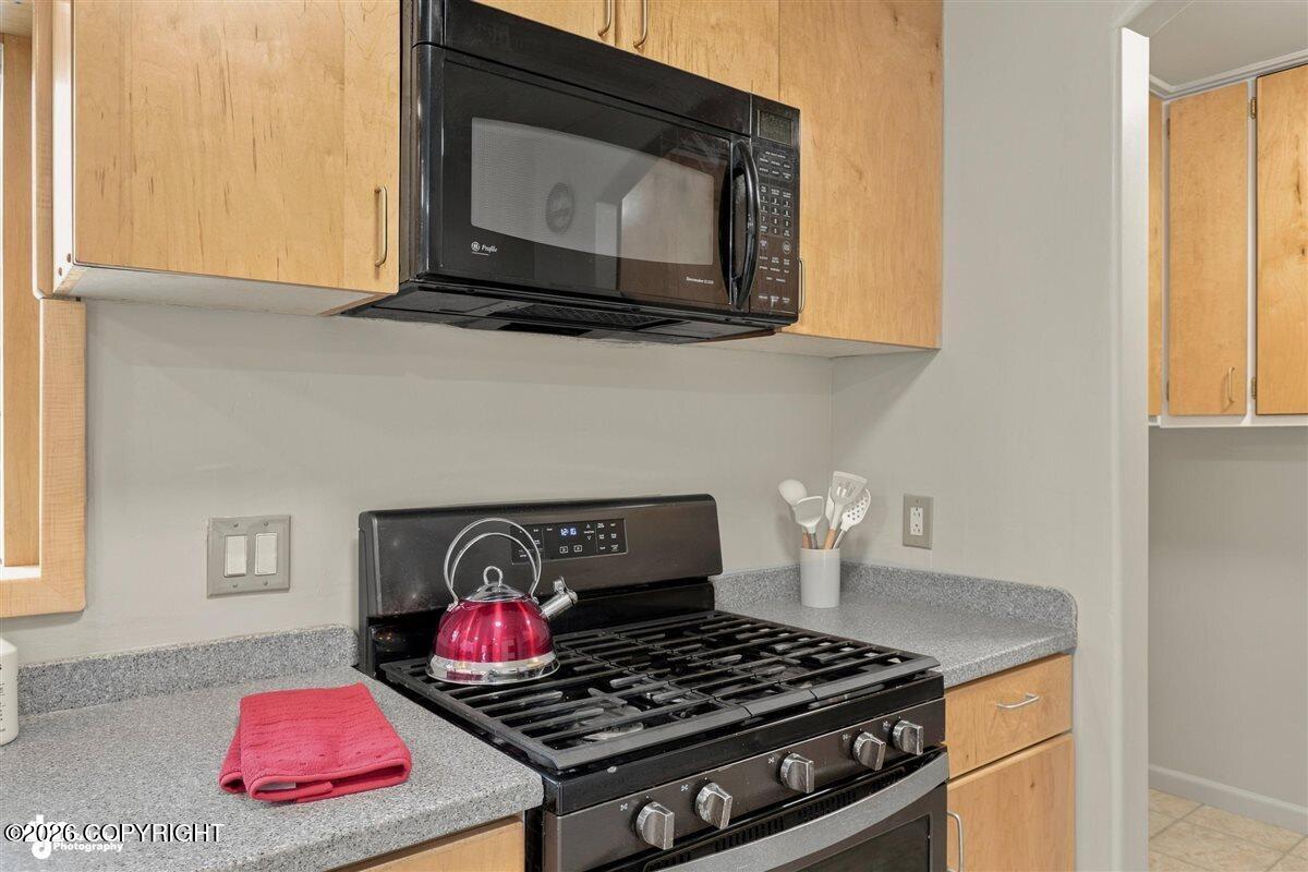 12421 Silver Spruce Drive Property Photo 16