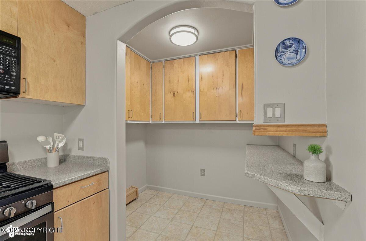 12421 Silver Spruce Drive Property Photo 17