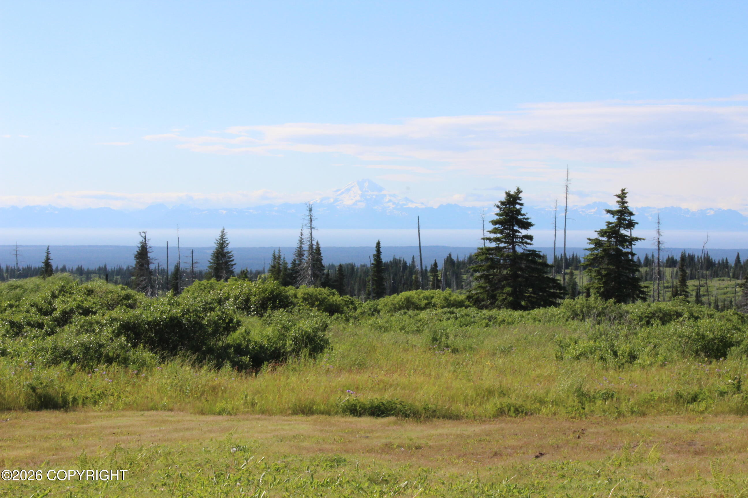 52629 Straight - In Trail Property Photo 53