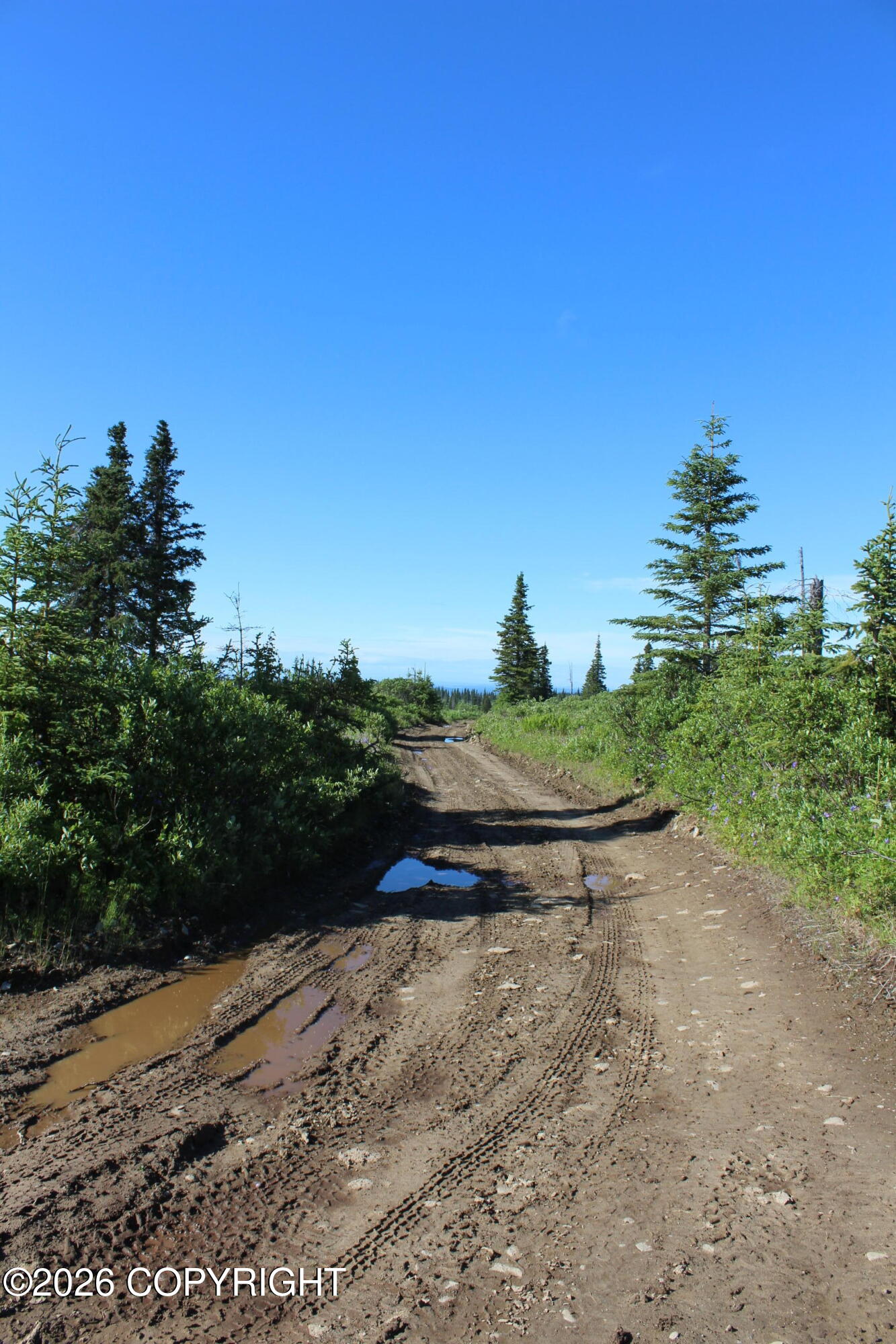 52629 Straight - In Trail Property Photo 60