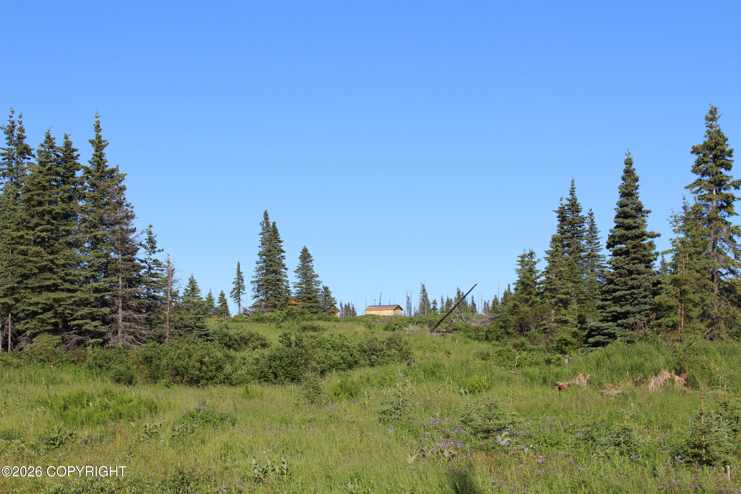 52629 Straight - In Trail Property Photo 66