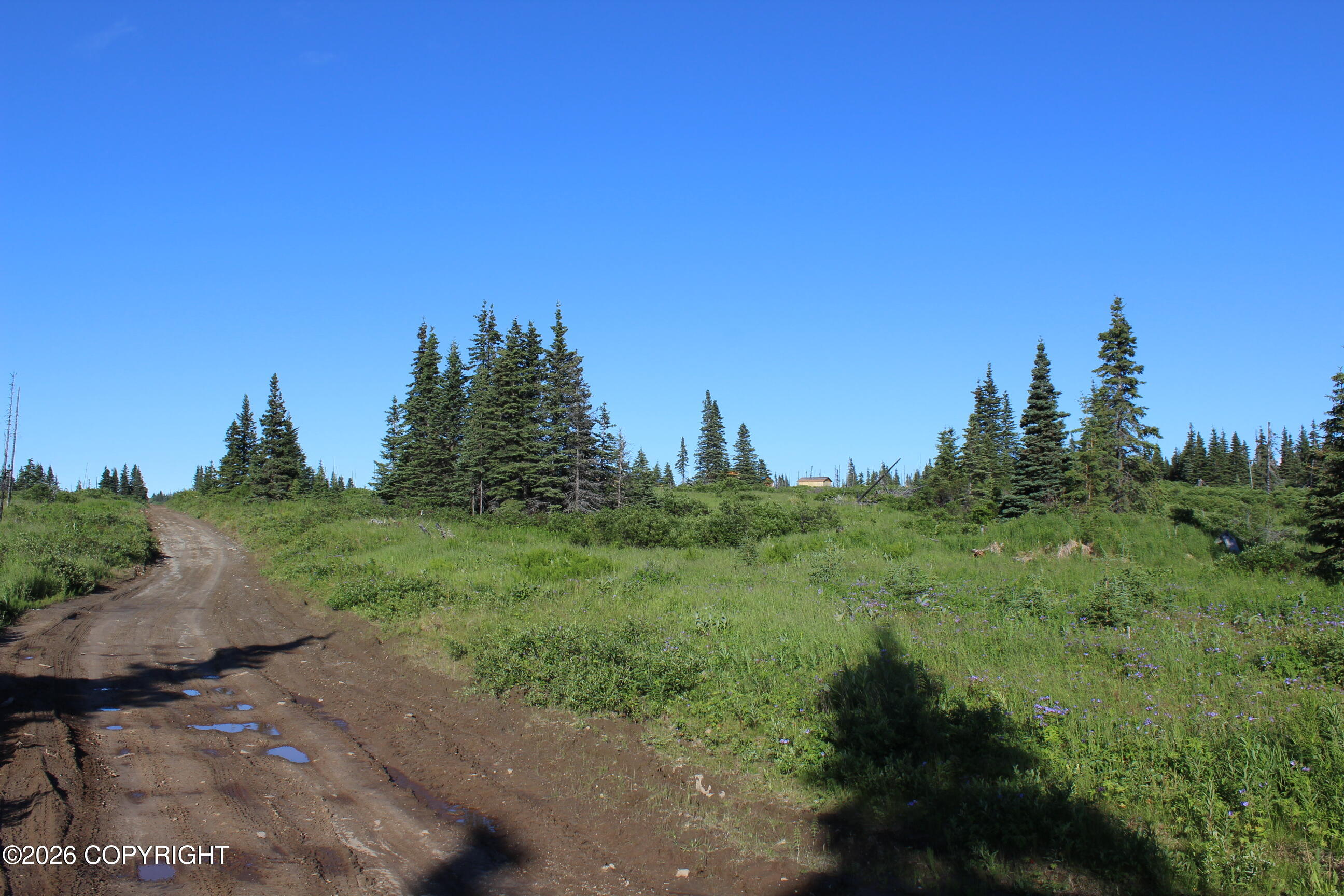 52629 Straight - In Trail Property Photo 67