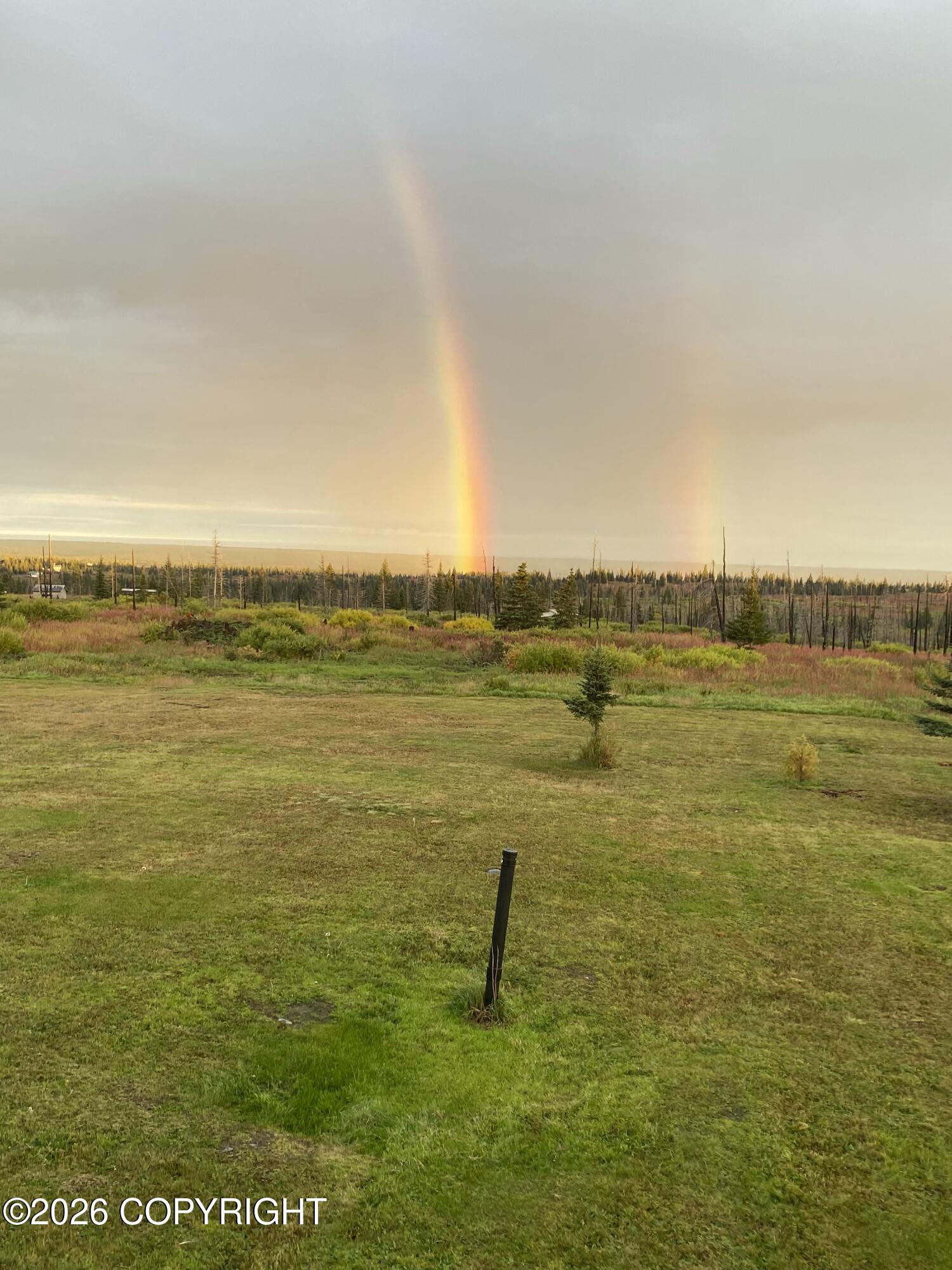 52629 Straight - In Trail Property Photo 77