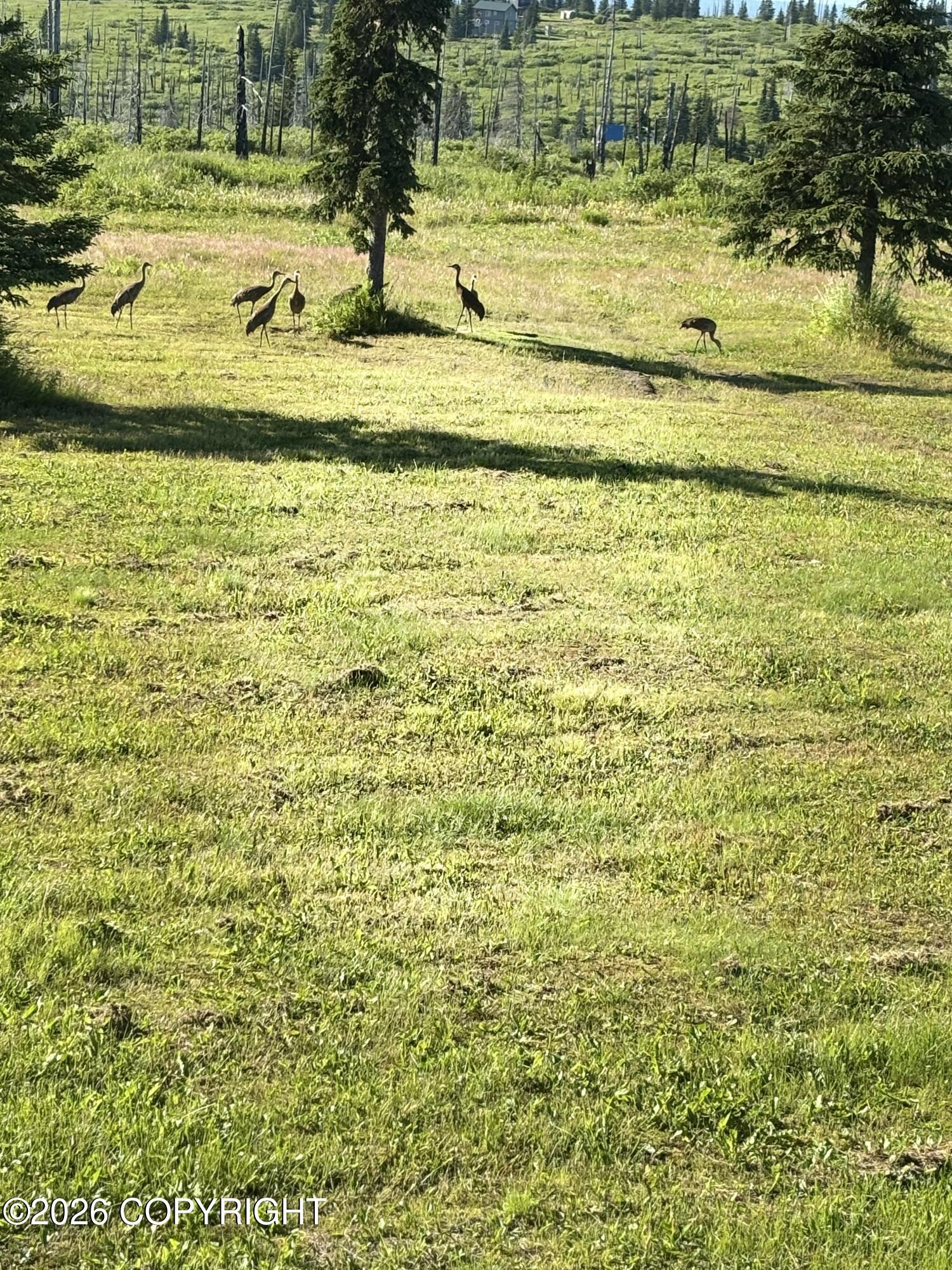 52629 Straight - In Trail Property Photo 82