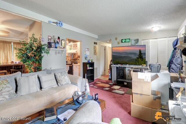 1735 Sanya Circle Property Photo 12