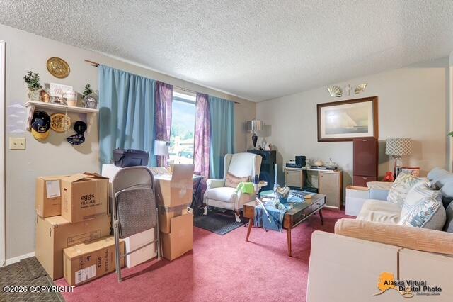 1735 Sanya Circle Property Photo 13