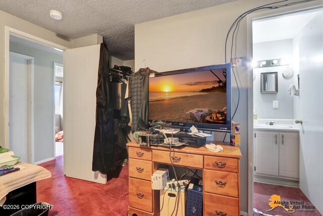 1735 Sanya Circle Property Photo 20