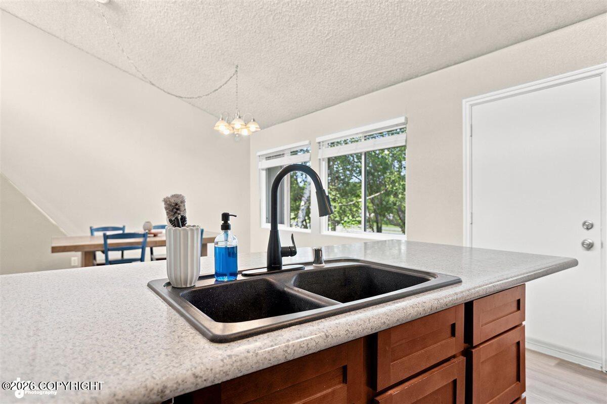 3151 Draco Drive Property Photo 16