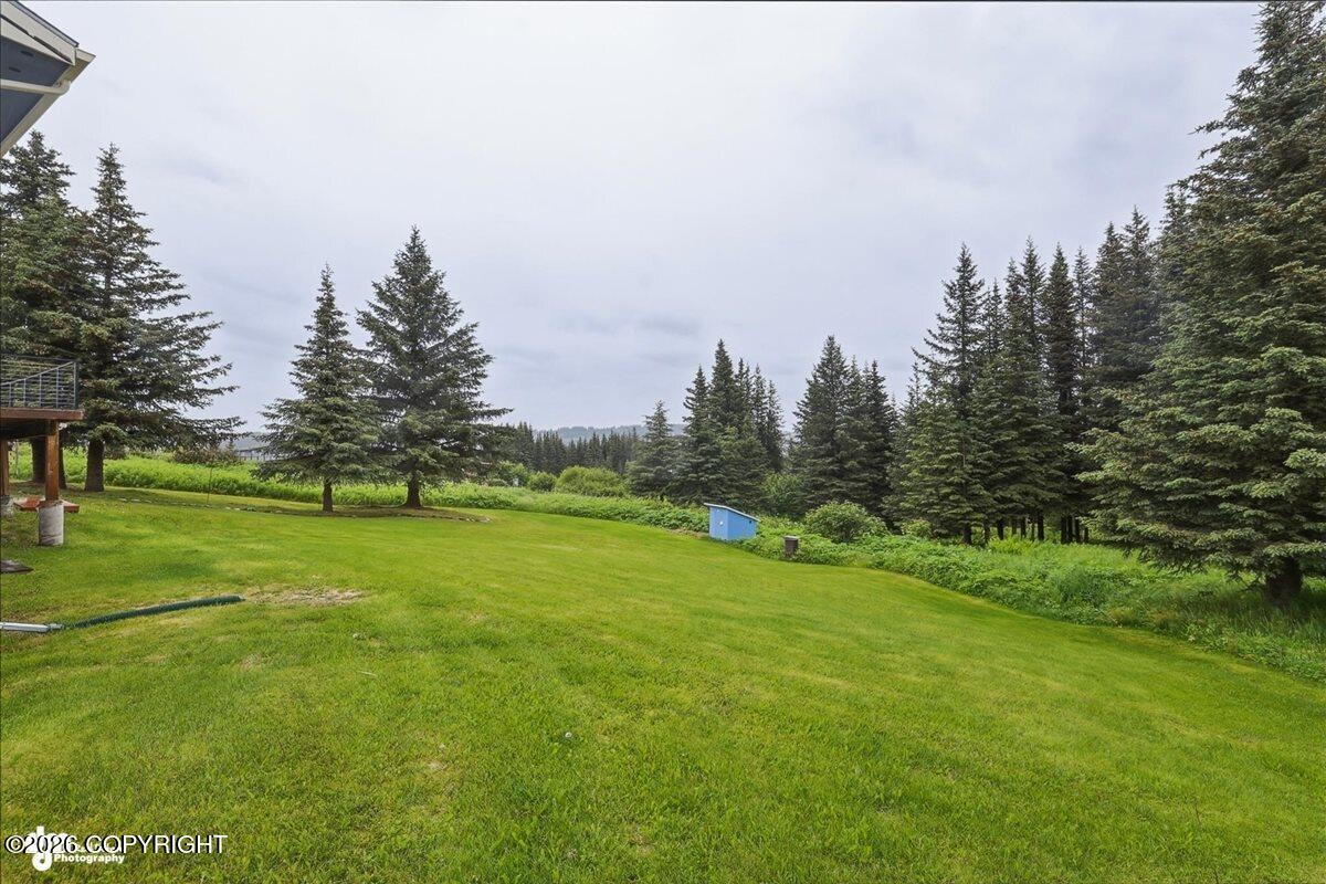 41140 Bidarki Drive Property Photo 44